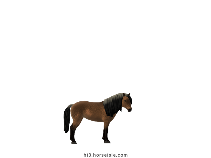 South African Miniature Horse Sooty Dun Coat